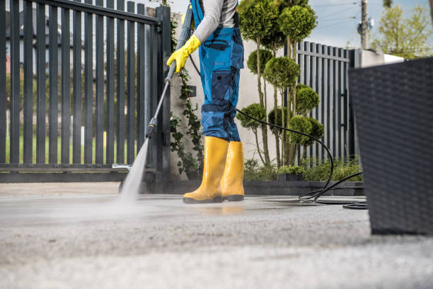 Best Roof Cleaning and Mildew Removal in Harlem, FL